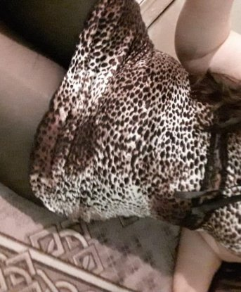 Живу в Москве и готова познакомиться с джентльменом, который ценит качественный отдых. Мои услуги включают классический секс, оральные ласки, эротический массаж, стриптиз и многое другое. У меня шикарная фигура и привлекательное лицо, а мои нежные прикосновения оставят тебя в восторге. Отзывы о моей работе говорят сами за себя – каждый мой клиент уходит счастливым и полон энергии. Предлагаю тебе окунуться в мир наслаждения и расслабления, обещаю, ты не пожалеешь! 😘💋🔥 Фото в профиле Елисей
